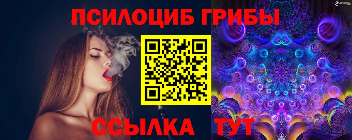 Галлюциногенные грибы GOLDEN TEACHER Чайковский